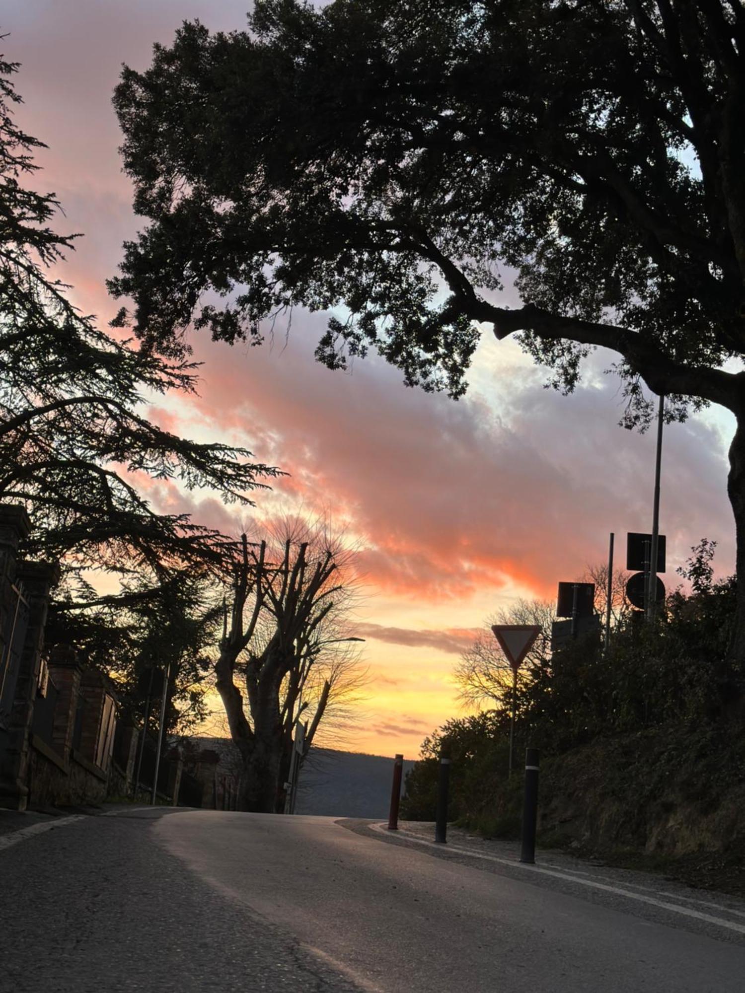 Lo Scrigno Dei Sogni Leilighet San Gimignano Eksteriør bilde